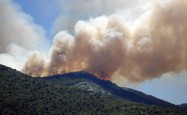 Fires snapshot